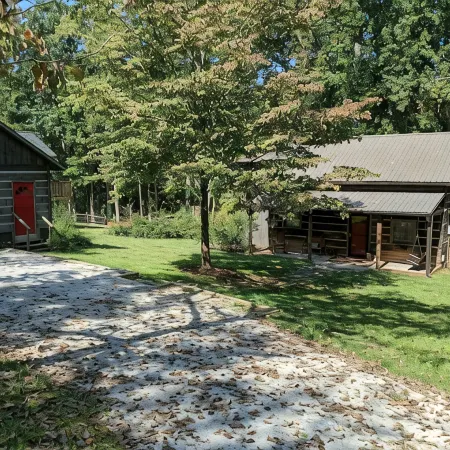 Lake Hartwell Cabin with Covered Dock, Firepit, Kayaks, Views of Lake, Sleeps 12