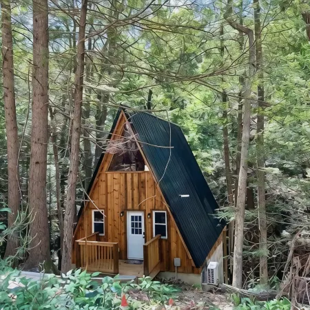 Overlook Oasis! RRG, A-frame Cabin, NEW HOT TUB, Grill! Pet friendly