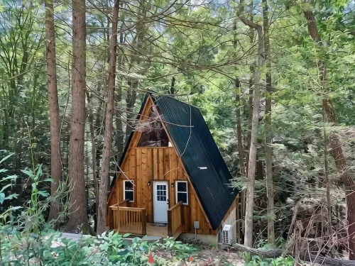 Overlook Oasis! RRG, A-frame Cabin, NEW HOT TUB, Grill! Pet friendly - Homestays