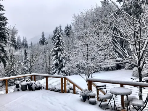 Peaceful Oasis In The Woods. Private deck and entrance. - 무료 와이파이