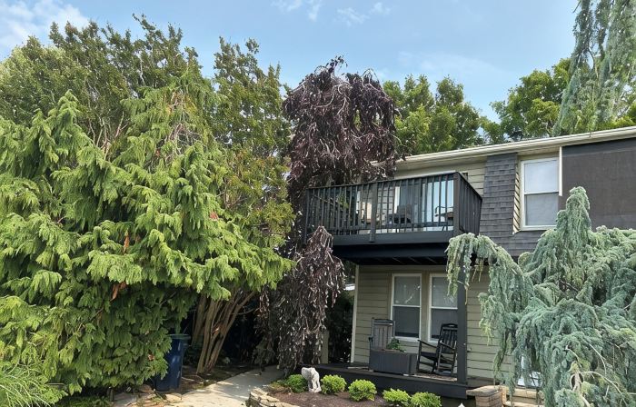 LOCATION LOCATION COVE Quiet/Private/Garden Oasis/Water SUNSETS we got a spot!