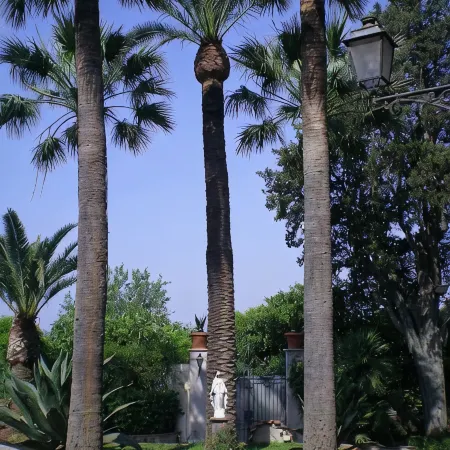 Villa Raffaela - Stately home, independent, quiet, sunny, ideal for a relaxing holiday