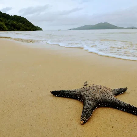 Phayamas Private Beach Resort and Island Brew - Adults Only