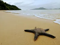 Phayamas Private Beach Resort and Island Brew - Adults Only - Beach