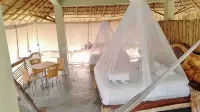Devine virgin bay New tree house pvt/room palapa -  Casas de vacaciones