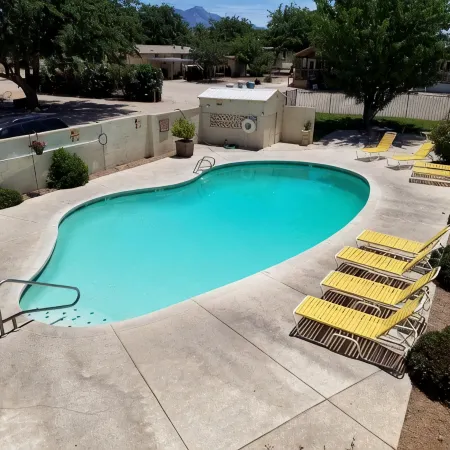 Kingman Koa
