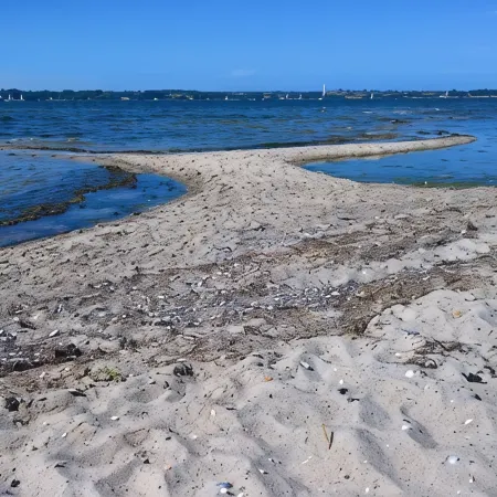 120 meters to the beach. 80 meters to the forest.