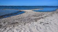 120 meters to the beach. 80 meters to the forest.