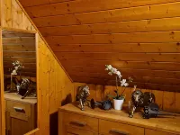 Idyllic vacation home in the middle of nature Hotels in Neunkirchen