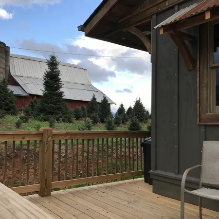 A hand-crafted cabin built in the middle of a Christmas Tree farm.