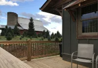 A hand-crafted cabin built in the middle of a Christmas Tree farm.