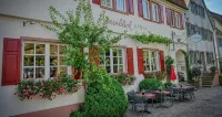 Hotel Mainblick Garni