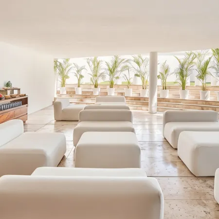 Viceroy Los Cabos