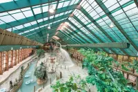 Westgate Smoky Mountain Resort & Spa - Pet friendly