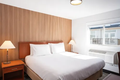 蘭裡市Travelodge by Wyndham飯店 - 寵物友善