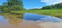 Amazon Tropical Expeditions