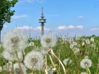 Eifelauszeit - Auszeit ist Eifelzeit / bis zu 8 Personen + Kind + Vierbeiner - Wifi