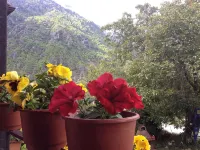 Artemis Apartments - con vistas a la montaña