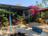 Wilderness Jungle Camp - Wifi
