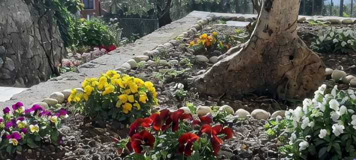 Apartment Orchidea with beautiful lake view Hotels in Brenzone sul Garda