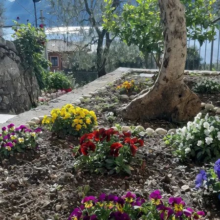 Apartment Orchidea with beautiful lake view