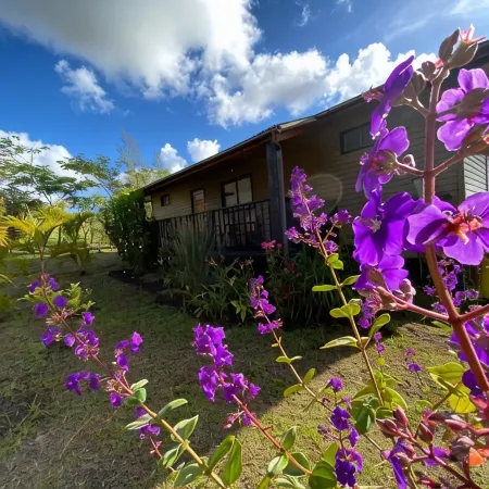 Maunga Roa Eco Lodge