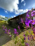 Maunga Roa Eco Lodge - ห้องครัว