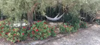Villa Pardalot Boutique Stays - con vistas a la montaña