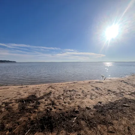 Bartlett Bluebonnet steps From Lake Sam Rayburn