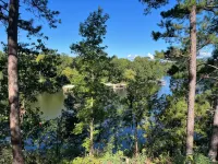 The Elm ~ Cabin Fifteen ~Lakefront - Chalets