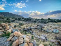 The Prickly Pear: Experience Arizona Agritourism - 4つ星