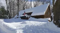 Seven Springs Cabin - Fox Tail Chalet - Authentic, Pet Friendly Log Cabin Chalet - Chalets