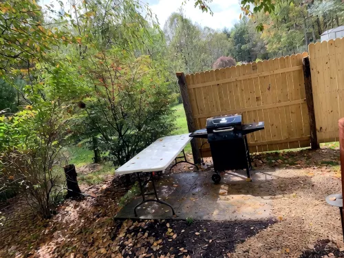 Rustic Ridge a Cabin Close to Hiking and Skiing! - 3-Star