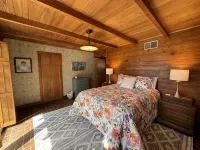 Beautiful Mid-Century Modern Home in Downtown Waynesville - 3-Star