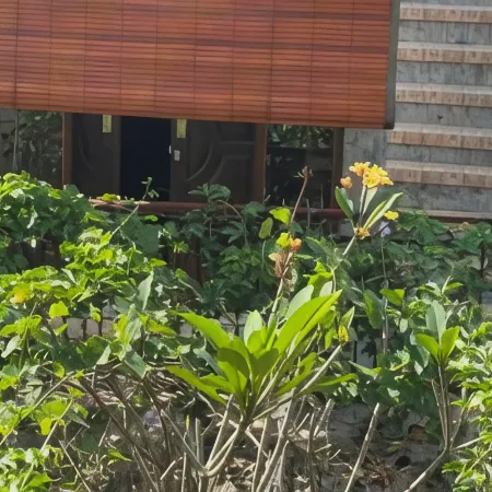 Joni Ubud Hostel