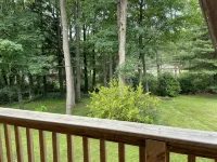 Updated 4 br PSU home, close to campus - Boutique