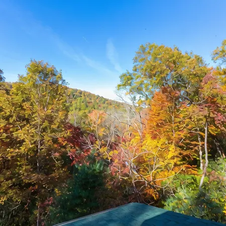 Mountain Forest Cabin w/ Therapeutic SPA Jacuzzi/Pool table/Gameroom Lic #033262