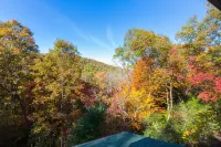 Mountain Forest Cabin w/ Therapeutic SPA Jacuzzi/Pool table/Gameroom Lic #033262 - Wi-Fi
