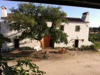 Quinta dos Ribeiros - Villas
