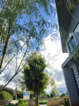 H1Boutique Hotels in Hang Chat District