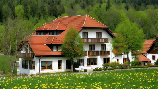 Rhön Sonnenhof飯店 - 餐廳和咖啡館