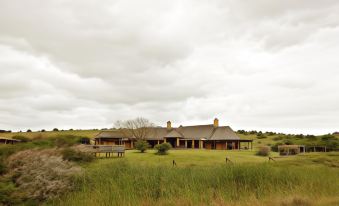 a large house with a thatched roof is surrounded by a grassy field and trees at Bukela Game Lodge - Amakhala Game Reserve