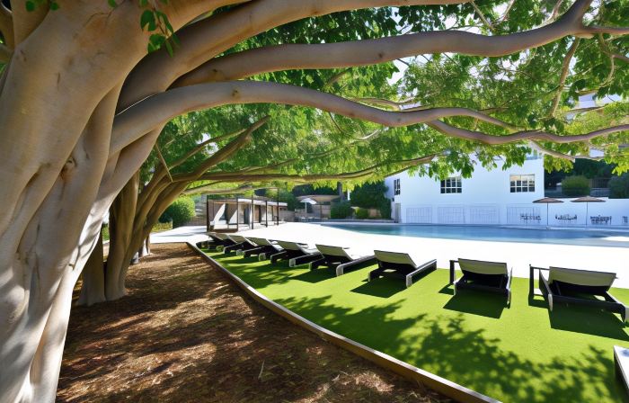 Salles Hotels Marina Portals
