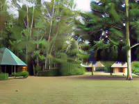 Campamento Rio Lacanja