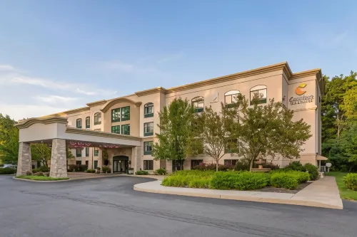 舒適酒店及套房喬治湖