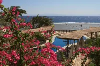 Nesima Resort - รีสอร์ท