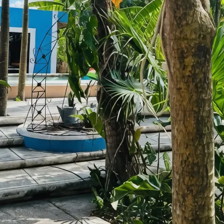 Hostal y Camping Villa Mercedes