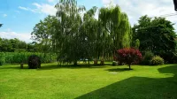 Bed & Breakfast Milù Hotels in Boves