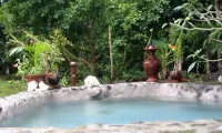 Nypa Style Resort Camiguin - Rooftop Pools