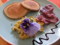 Kleinzee Oceanfront Guesthouse Hotels in De Kelders